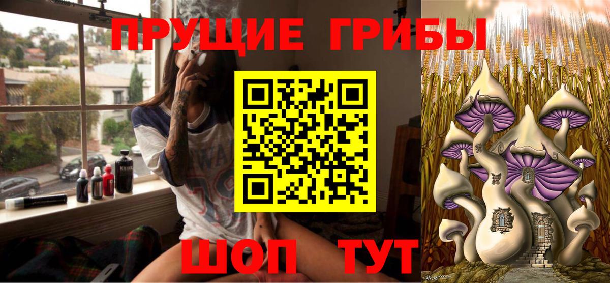 Псилоцибиновые грибы GOLDEN TEACHER  Вход с VPN  Гай 