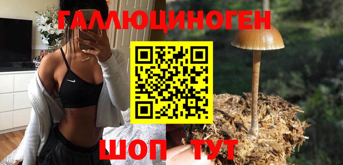 Галлюциногенные грибы ЛСД Гай