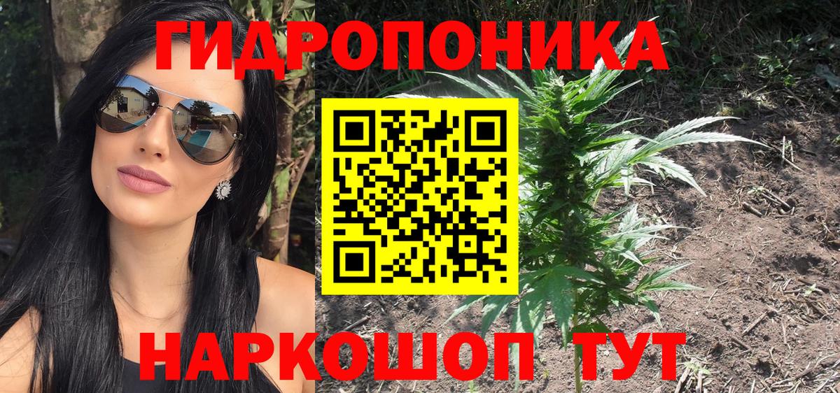 МАРИХУАНА конопля Гай